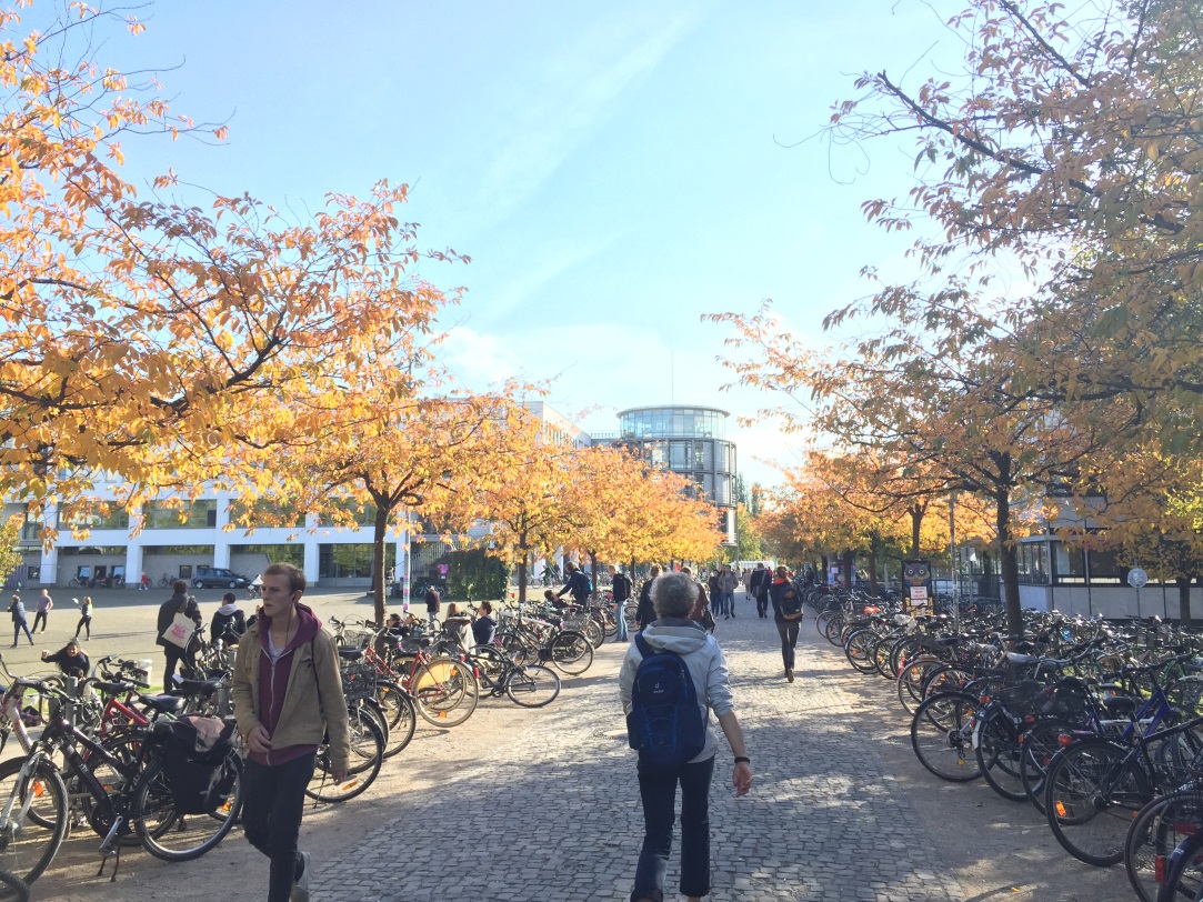 Met een MBO-diploma doorstromen in Duitsland